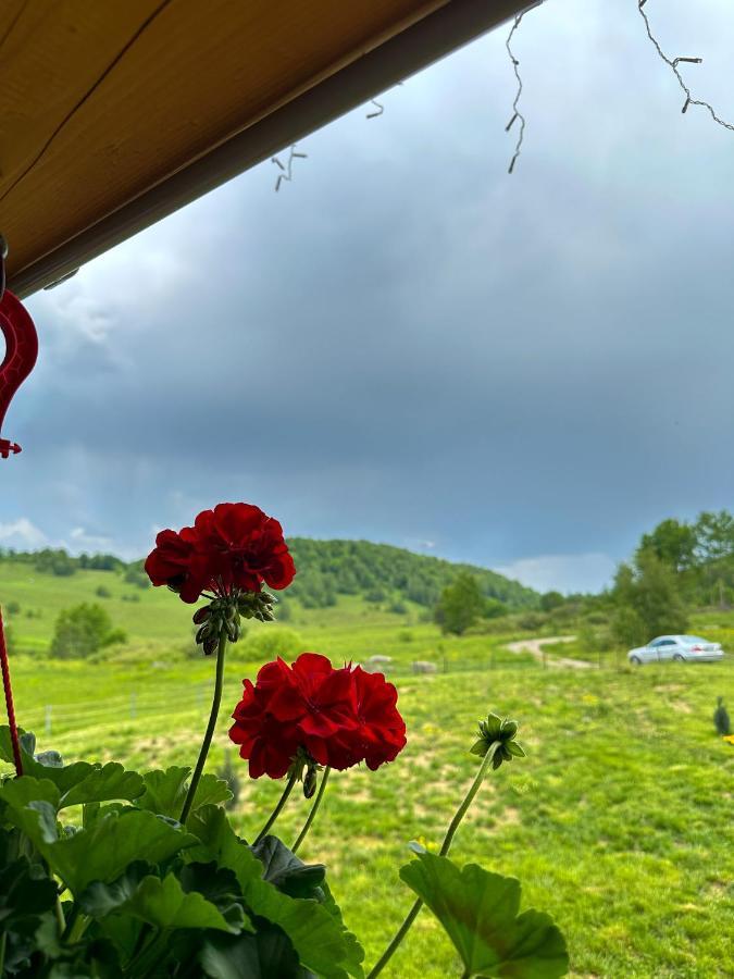 Casutele Din Poiana Vila Satu Sugatag Exterior foto