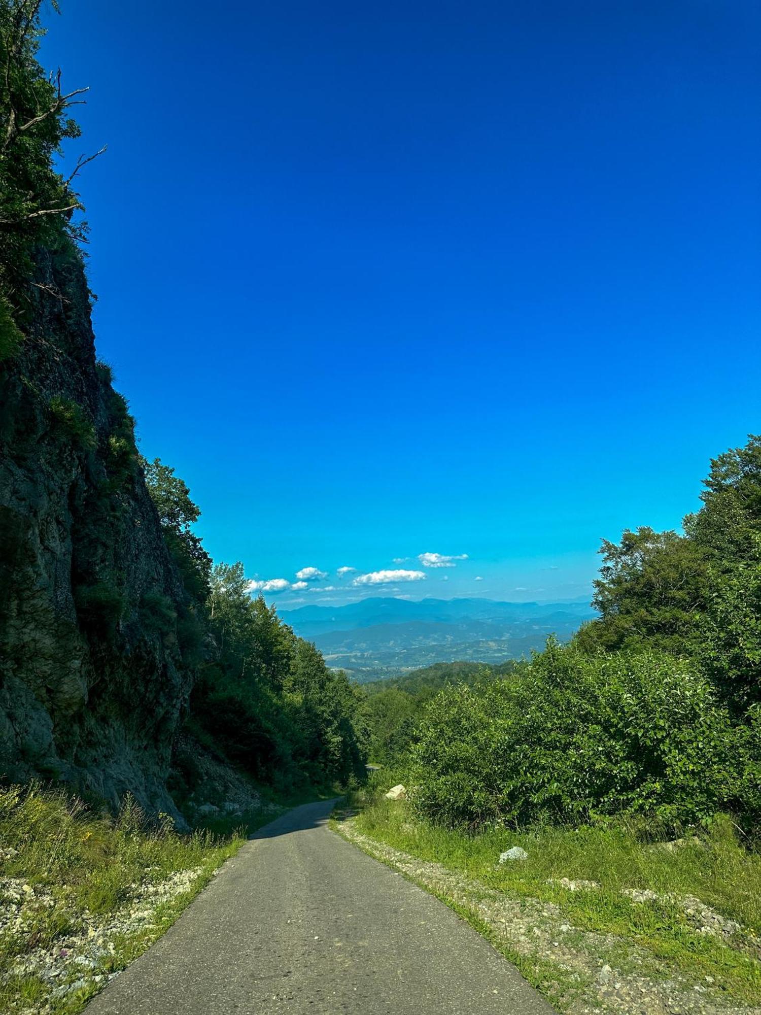 Casutele Din Poiana Vila Satu Sugatag Exterior foto
